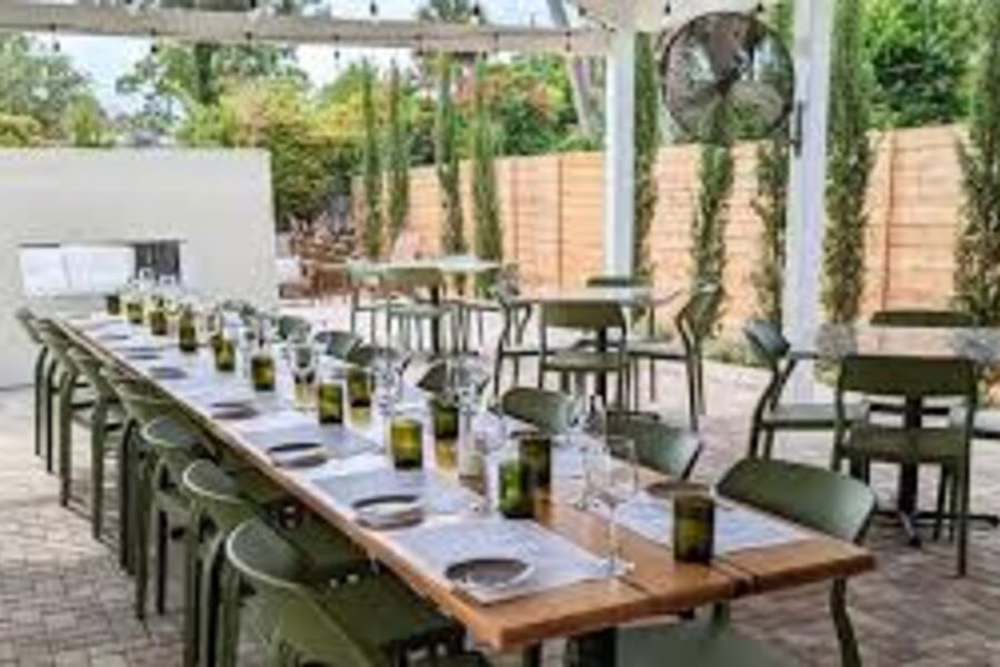 Vine Olive Outdoor 2