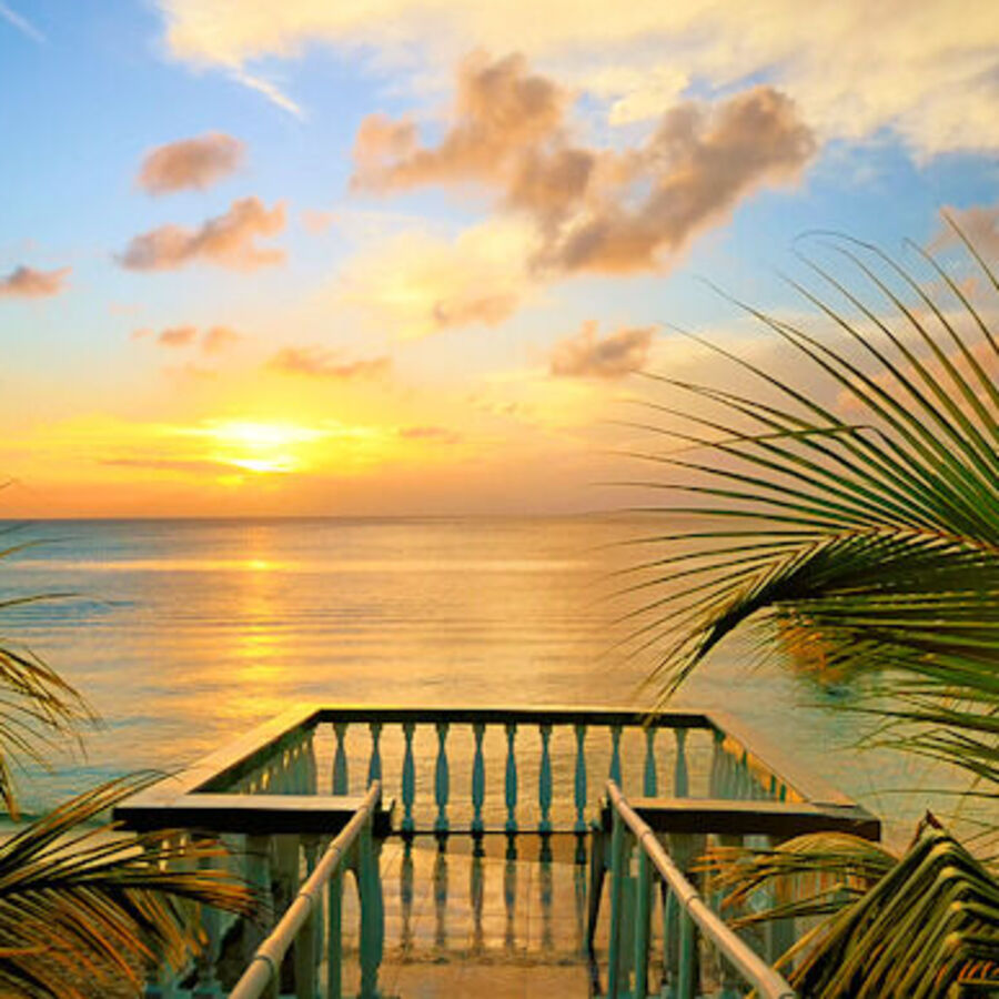 Vacation Rentals